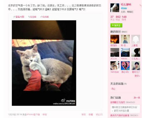 王石新歡田樸珺微博曝光，二人巴西吃烤肉，微博曬同一只貓