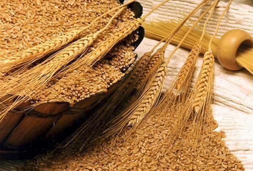 哪些食物促進消化?促進消化的常見食物有什么