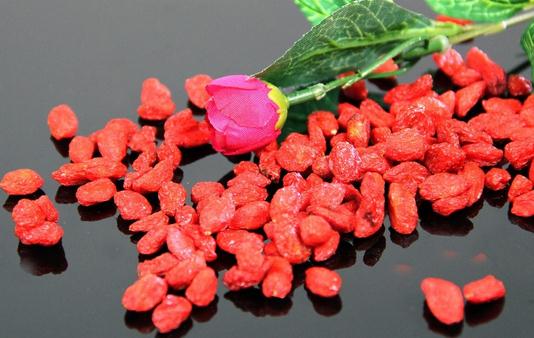 枸杞子泡水能補腎-枸杞泡水喝多少合適?