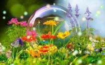 春季適合吃什么食物？春季合理的飲食習慣