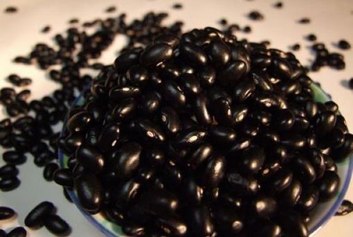 吃什么補(bǔ)腎？春季補(bǔ)腎首選六大黑色食物