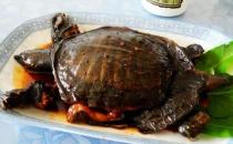 甲魚血能吃嗎？甲魚血怎么吃最好