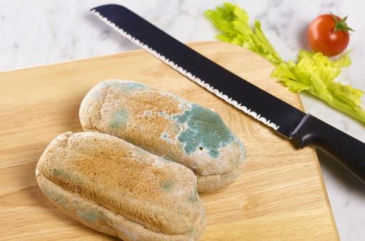 食物發霉了怎么辦?防止食物發霉變質的方法