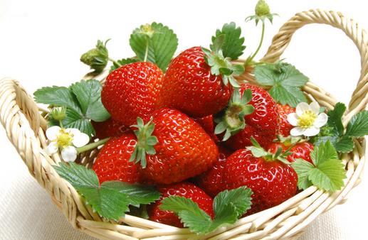 這些食物讓你遠離生病困擾