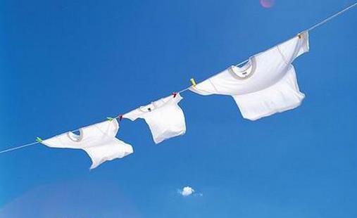 頭上長虱子怎么辦 如何有效預防虱子