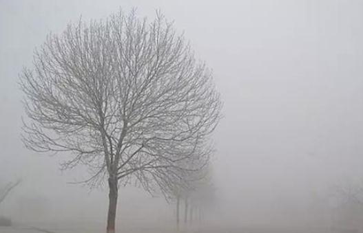 霧霾天如何呵護你的肌膚?