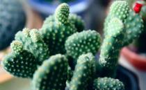 腱鞘炎是什么？ 引起腱鞘炎的原因有哪些？