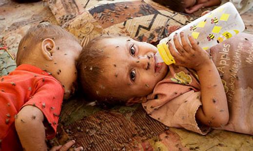 什么是霍亂? 霍亂如何防治?