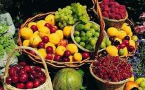 祛痘內(nèi)調(diào)不可少-吃什么能祛痘？