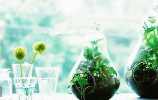 自制果蔬面膜:享受細膩膚質的感覺