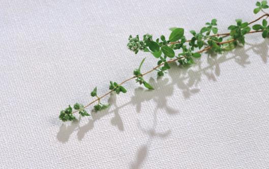 藥妝品有什么功能?用藥妝會(huì)產(chǎn)生抗藥性嗎?