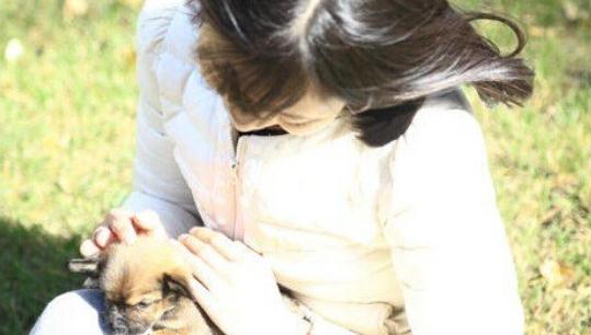 護發食療方:黑豆蜜茶的做法