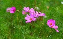 三種拍臉方法讓你擺脫大餅臉！