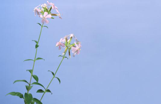 有雙下巴?教你快速消除雙下巴!