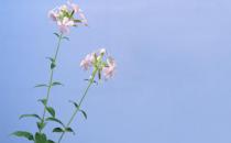 有雙下巴？教你快速消除雙下巴！