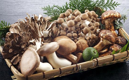 易感染細(xì)菌的食物有哪些?