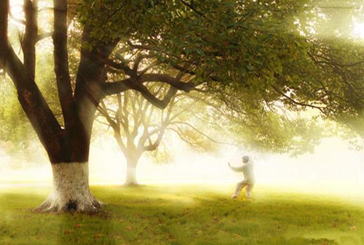 這些健康養(yǎng)生金句真的科學(xué)嗎？