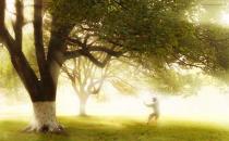 這些健康養生金句真的科學嗎？