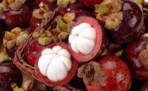 山竹增進免疫系統健康 怎么挑選山竹