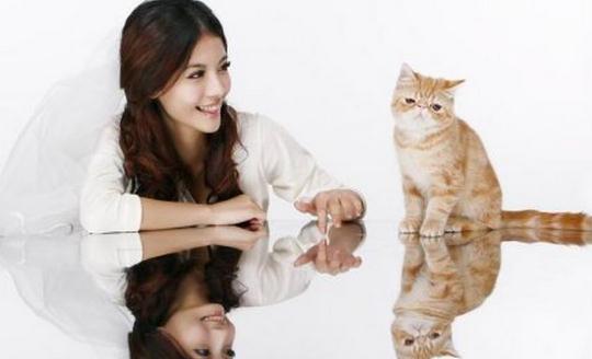 腹部劇痛需要注意了！這些疼痛不能忽視！