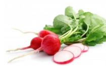 腹瀉能排毒？這些病其實是在幫我們排毒