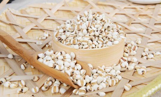 薏米的功效有哪些?薏米怎么吃最好?