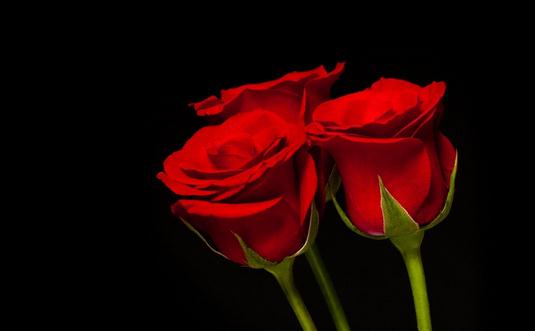 女性氣色不好怎么辦？紅石榴來排毒