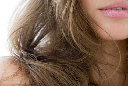 男性脫發補腎精 女性脫發養肝血