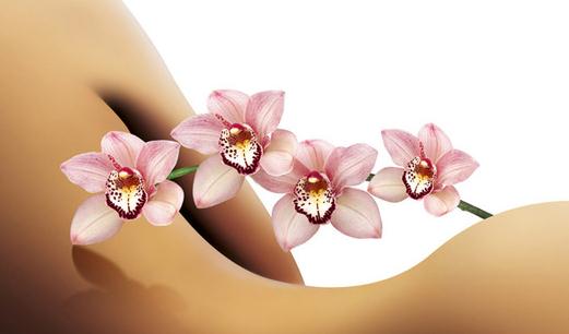 手腳冰涼的體質如何通過中醫來調理?