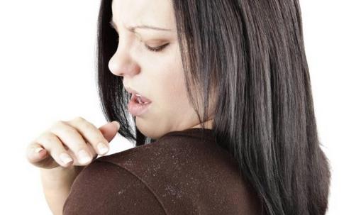 頭皮屑多的人應(yīng)該怎么樣調(diào)理飲食