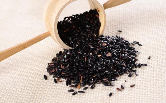 秋季吃什么食物能美容?最養顏的是薏米