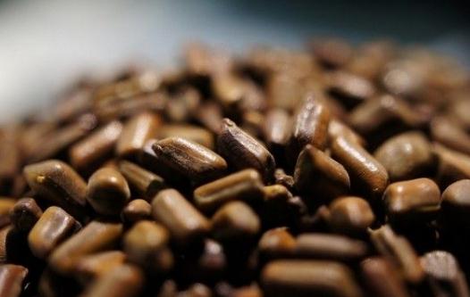 決明子怎么泡水喝最好?決明子潤腸通便