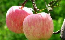 蘋果竟是最骯臟的水果？怎么吃蘋果才健康？