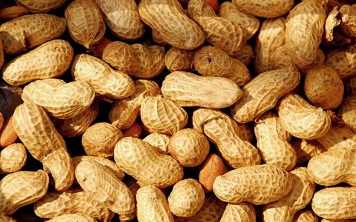 秋季男性保健飲食 吃這些食效果好