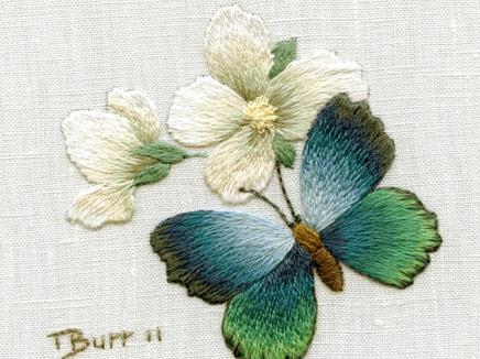 你可能不知道的中國名繡