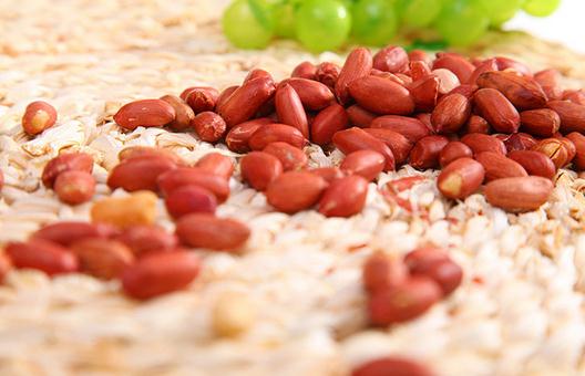 花生的紅衣有什么營(yíng)養(yǎng)價(jià)值?