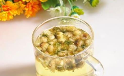 菊花茶怎么飲用好?哪些人不宜喝菊花茶?