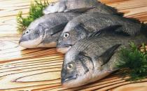 魚的哪些部位比較有營養？洗魚有什么技巧？