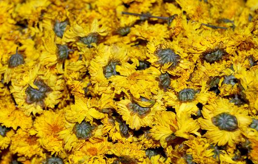 菊花茶飲用禁忌:過敏體質不宜喝菊花茶