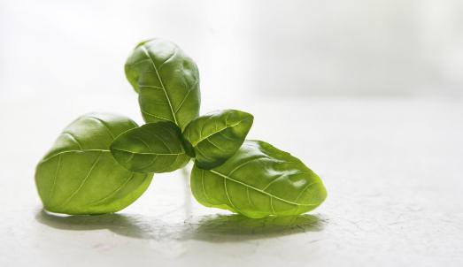 考前給孩子吃什么好？考前只吃素好嗎？