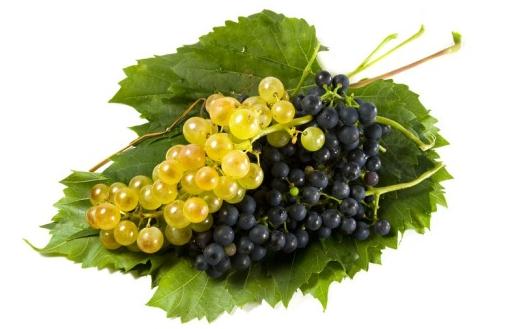 吃什么可以預防感冒?蘿卜緩解感冒