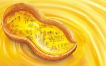 各種食用油的用處你都了解嗎？