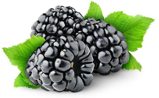 黑色食物更有利于女性健康哦！