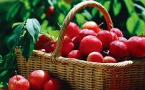 吃什么水果可以對(duì)付皮膚干燥？