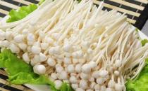 金針菇有什么養生功效？食用時有什么禁忌？