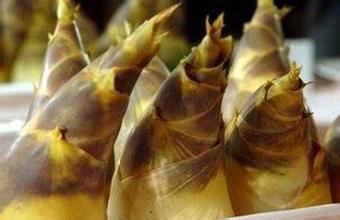 春筍的營(yíng)養(yǎng)價(jià)值與做法