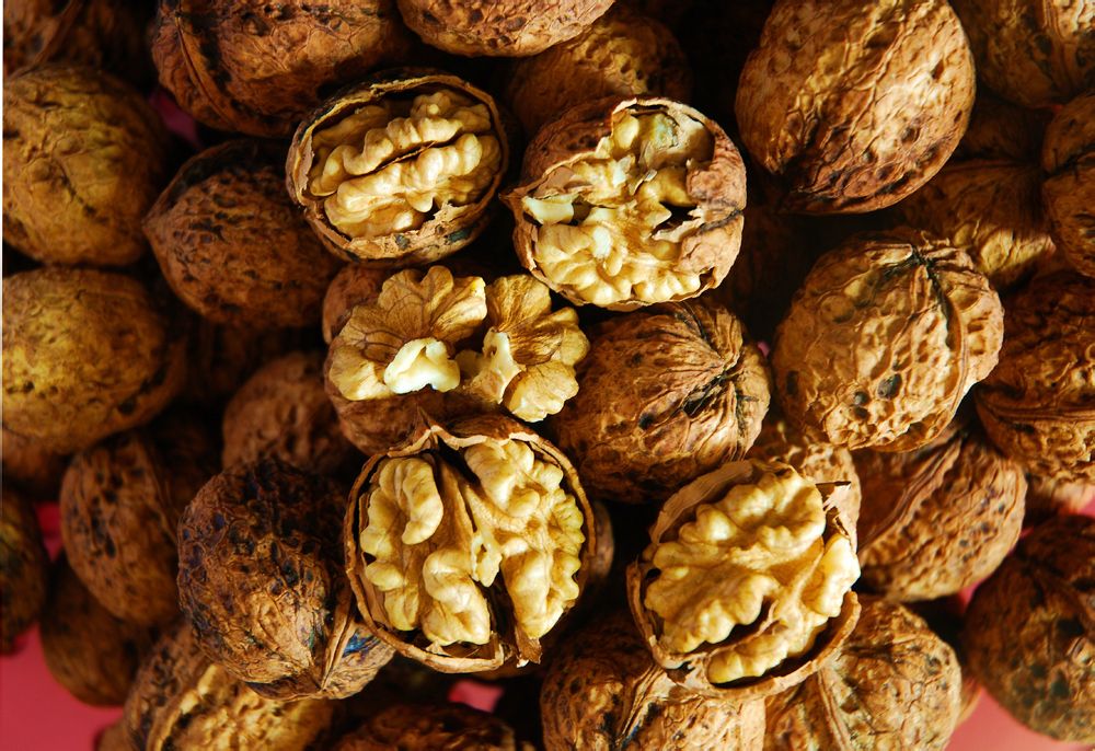 核桃能補腦 怎么吃最好