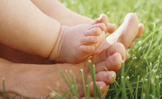 產后營養食譜:鯉魚粥的做法