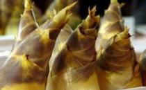 春筍的營養價值與做法