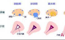 女人再不管好大姨媽 將導致婦科重癥疾病